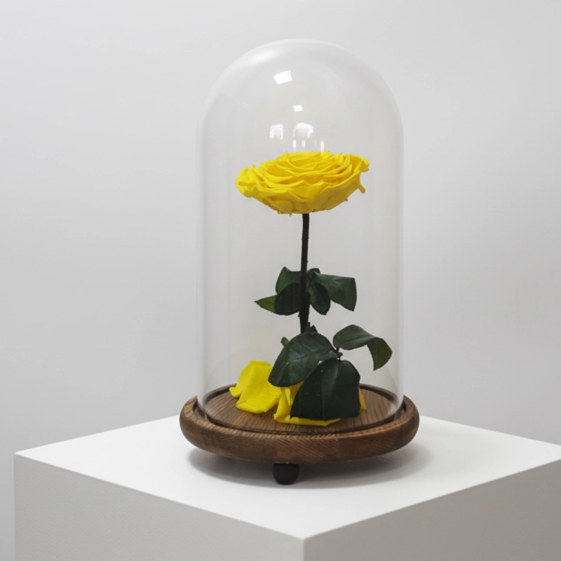 Preserved Yellow Rose in Dome